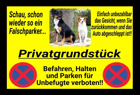 Parken verboten SchildParken - Verkehr Wieder ein Falschparker Bild